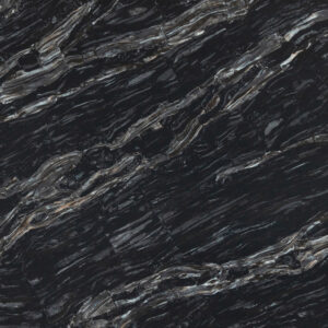 Black Aurelia