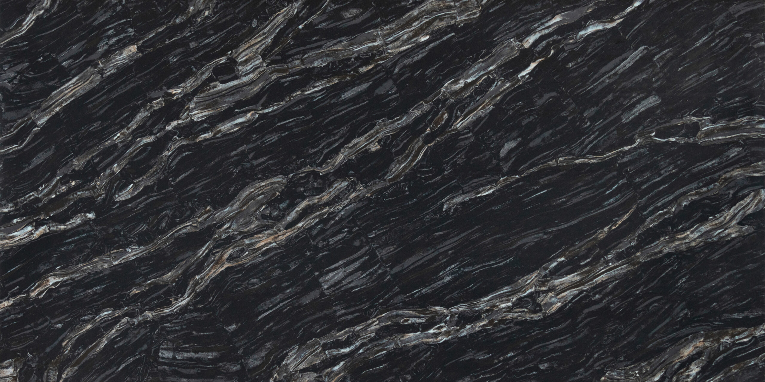 Black Aurelia